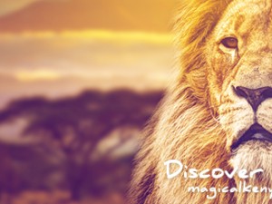 KENYA FAIRS