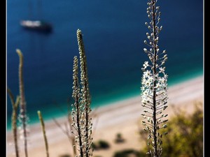 Turkey Turkey Packages Land+Sea Tours