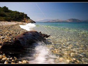 Turkey Day Tours & Shores 